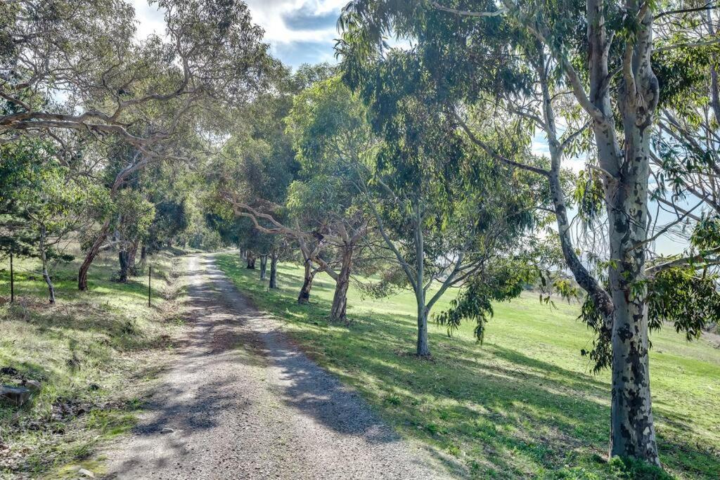 Rustic Waitpinga